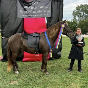 GHS Magic Moment CONFIDENCE BUILDER GRAND CHAMPION TRAIL AND SHOW 15H GELDING