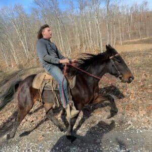 Preacher 12yo 15 hh standardbred gelding sells 12/23 10:15pm EST